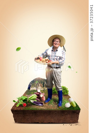 fall is the harvest season. enjoyment of harvesting 010 37235041