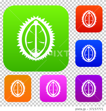 Durian fruit set collection 37237771