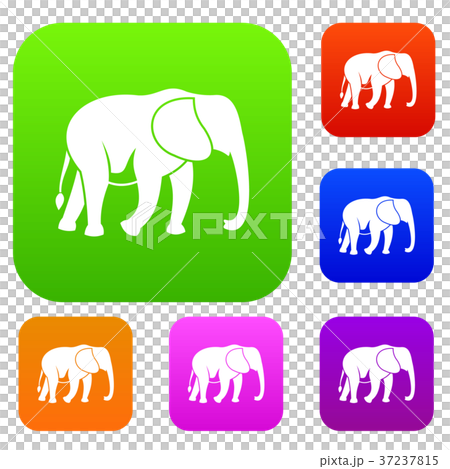 Wild elephant set collection Wild elephant set collection 37237815