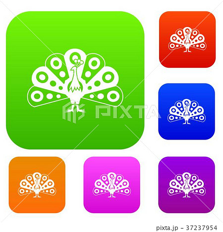 Peacock with flowing tail set collection 37237954