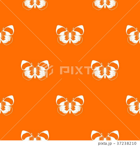 Butterfly pattern seamless 37238210