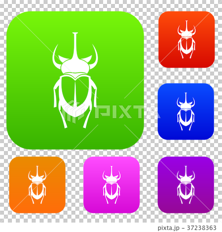 Weevil beetle set collection Weevil beetle set collection 37238363