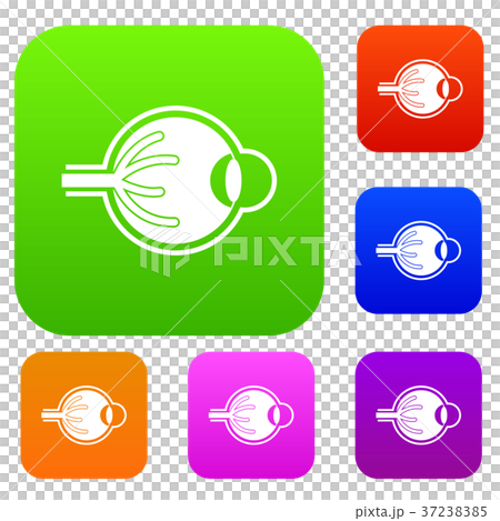 Human eyeball set collection 37238385