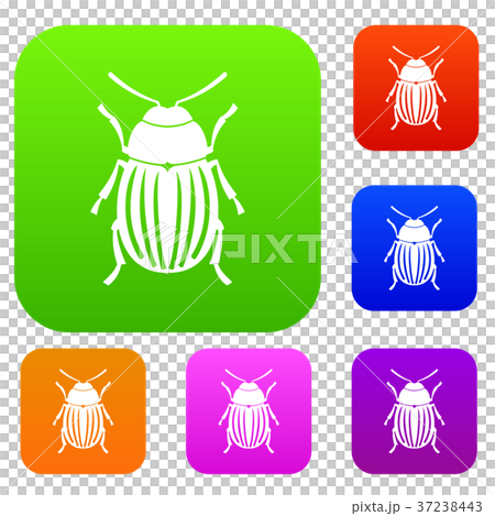 Colorado potato beetle set collection 37238443