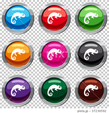 Chameleon set 9 collection Chameleon set 9 collection 37238592