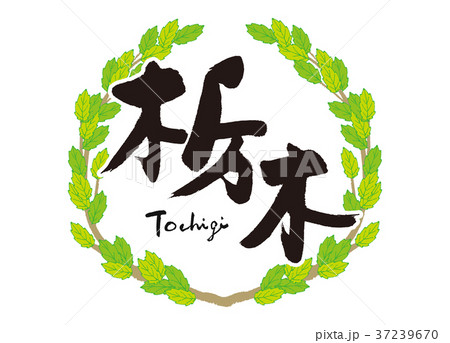 栃木　筆文字　青葉　フレーム 37239670