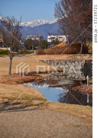 初冬の公園 初冬の公園 37239721
