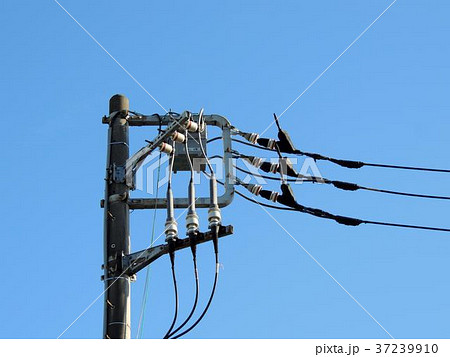 電柱の耐張碍子 37239910