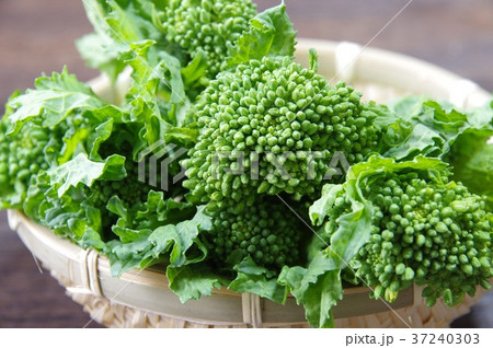 菜花 菜の花 菜花 菜の花 37240303