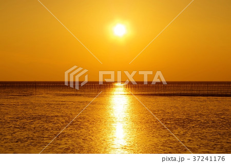 福岡県柳川市の秋 11月 有明海の夕陽 干潮時の干潟と海苔養殖の風景の写真素材