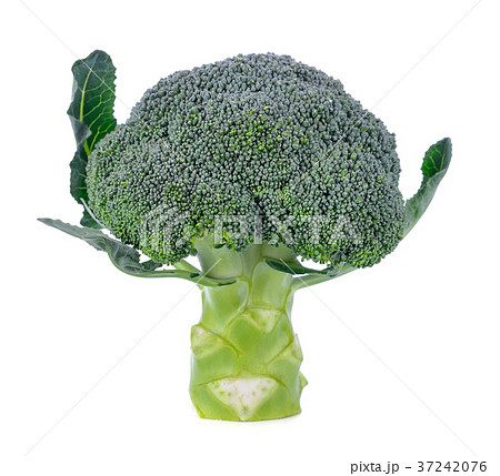 Broccoli isolated on white background 37242076