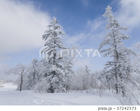 北海道の樹氷 37242573
