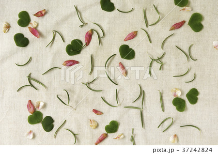 バレンタイン バレンタインデー バレンタインデイ 37242824