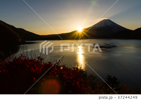 富士山　日の出　本栖湖　 37244249