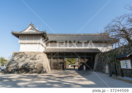 佐賀城跡 佐賀城跡 37244509