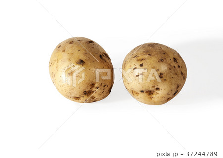 Two potato tuber. Two potato tuber. 37244789
