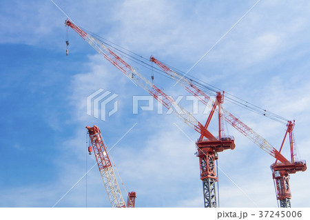 大規模建設現場のクレーン 37245006