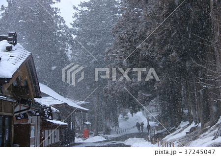 雪に煙る中尊寺　茶屋 37245047