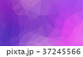 Abstract purple polygon for background 37245566