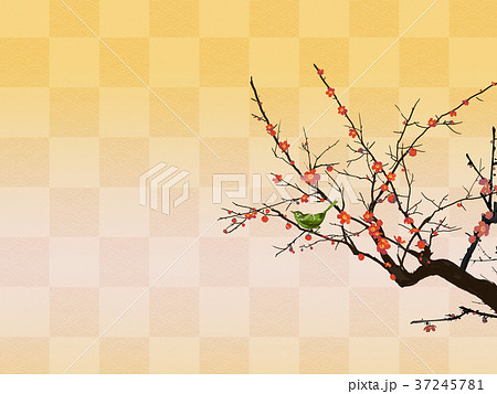 梅 梅の花 鶯 初春のイラスト素材
