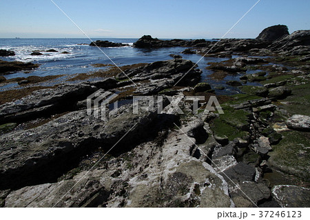 劔崎の岩礁 37246123