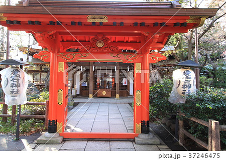 愛宕神社 愛宕神社 37246475