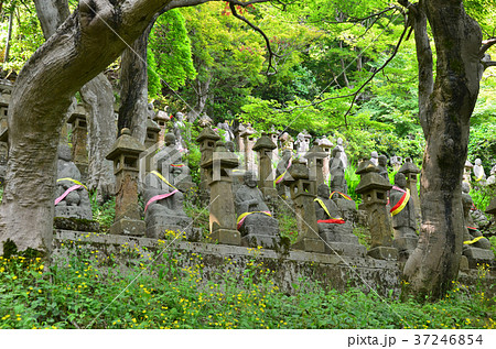 富山呉羽山の五百羅漢 37246854