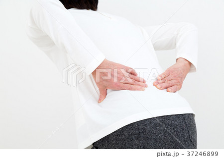 シニア　腰痛 37246899