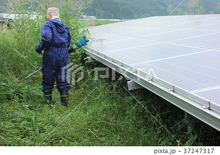 太陽光発電所の草刈り 太陽光発電所の草刈り 37247317