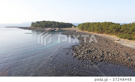 空撮　波戸岬（冬の玄界灘）　 37248448