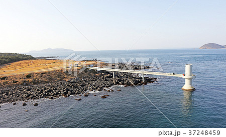 空撮　波戸岬（冬の玄界灘）　 37248459