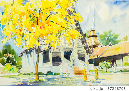 watercolor painting yellow of golden tree flowers, 37248703