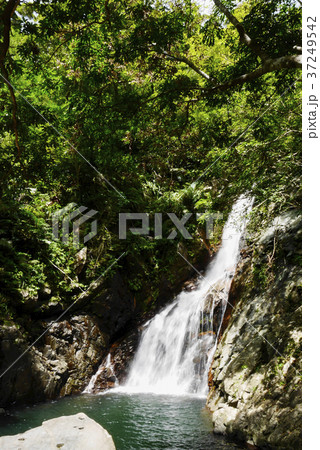 沖縄 沖縄 37249542