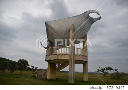 海人公園 海人公園 37249845