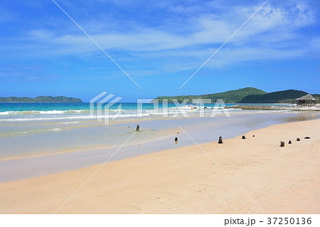 南国のビーチ 37250136