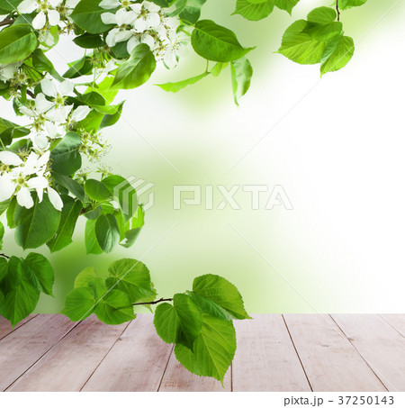 Spring Background with Empty Wooden Table 37250143