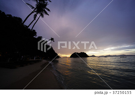 南国の夕暮れ 37250155