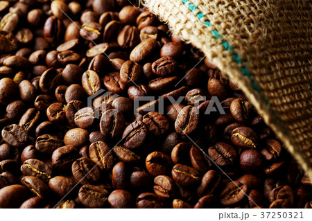 コーヒー豆 コーヒー豆 37250321