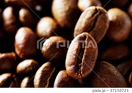コーヒー豆 コーヒー豆 37250723