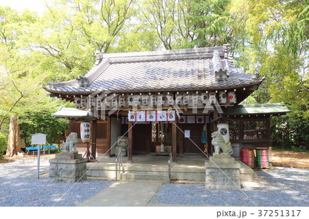京都　神足神社 37251317