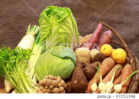冬野菜 37251396