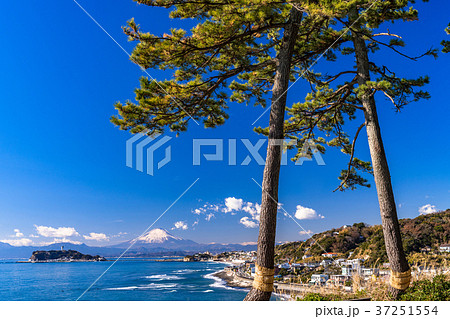 《神奈川県》江ノ島と富士山を望む・湘南海岸の朝 37251554