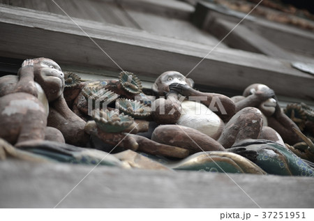 斜め下アングル 見ざる言わざる聞かざる  斜め下アングル 見ざる言わざる聞かざる  37251951