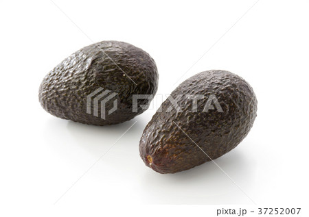 アボカド 37252007