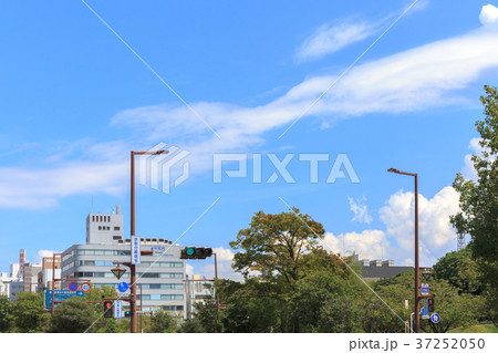 街景　夏の舞鶴公園界隈 37252050