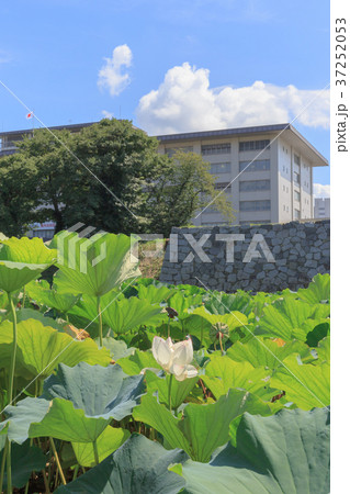 街景 2017 移転前の福岡高等裁判所 街景 2017 移転前の福岡高等裁判所 37252053