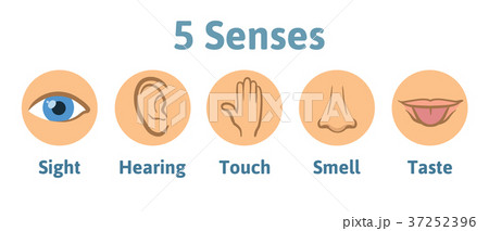 Set of five human senses icon: vision, hearing Set of five human senses icon: vision, hearing 37252396