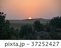 砂漠の草木と日の出　インド　一日の始まり 37252427