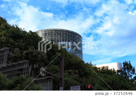 街景　都市風景　アクロス福岡 37252646