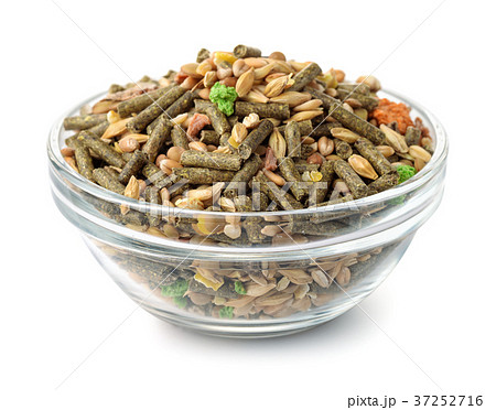Bowl of compound rodents feed 37252716